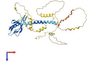 Tamalin/GRASP Protein (AA 1-395) (His tag)