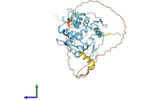 Protein Structure (PS) image for Zinc Finger Protein 707 (ZNF707) (AA 1-371) protein (His tag) (ABIN7545830)