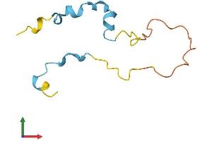 Protein Structure (PS) image for Myeloid/lymphoid Or Mixed-Lineage Leukemia (Trithorax Homolog), Translocated To, 11 (MLLT11) (AA 1-90) protein (His tag) (ABIN7551930)