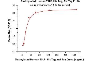 Immobilized Human TSLP R, Fc Tag at 5 μg/mL (100 μL/well) can bind Biotinylated Human TSLP, His,Avitag (ABIN5954931,ABIN6253633) with a linear range of 4-31 ng/mL (QC tested). (Thymic Stromal Lymphopoietin Protein (TSLP) (AA 29-159) (His tag,AVI tag,Biotin))