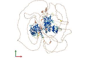 Protein Structure (PS) image for ArfGAP with GTPase Domain, Ankyrin Repeat and PH Domain 2 (AGAP2) (AA 1-1186) protein (His tag) (ABIN7563718)
