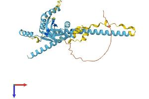 EIF3H Protein (AA 1-352) (His tag)