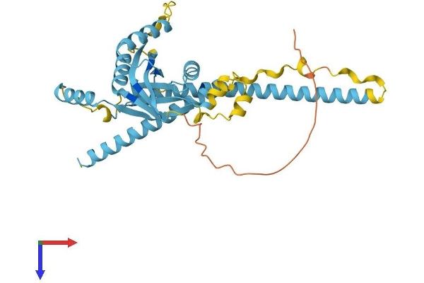 EIF3H Protein (AA 1-352) (His tag)