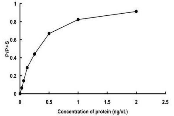 MAPKAP Kinase 5 Protein (AA 1-471) (GST tag)