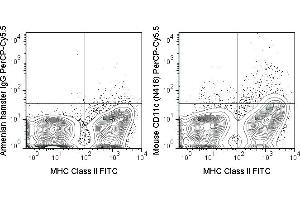 C57Bl/6 splenocytes were stained with Anti-Mouse MHC Class II FITC (ABIN6961666) and 0. (CD11c Antikörper  (PerCP-Cy5.5))