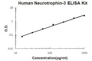Human Neurotrophin-3 PicoKine ELISA Kit standard curve