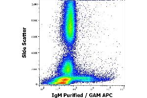 Flow cytometry surface staining pattern of human peripheral whole blood stained using anti-human IgM (CH2) purified antibody (concentration in sample 4 μg/mL, GAM APC).