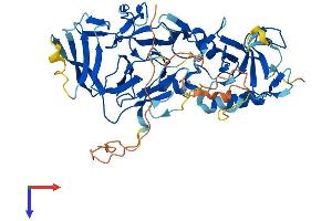 Pellino 3 Protein (AA 1-469) (His tag)