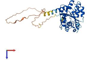 NMNAT2 Protein (AA 1-307) (His tag)