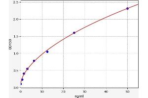 Typical standard curve (Kallikrein 8 ELISA Kit)