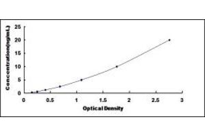 Typical standard curve (SPI1 ELISA Kit)