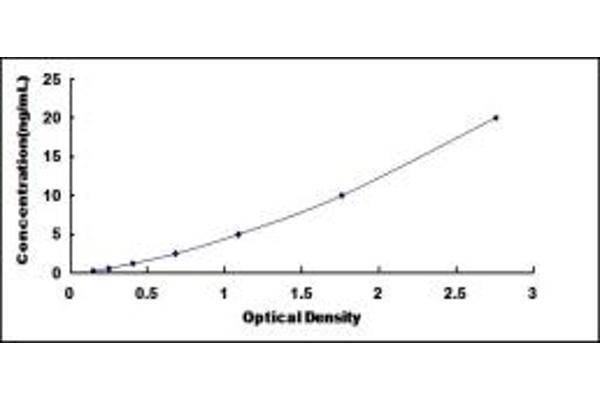 SPI1 ELISA Kit