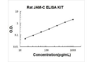 Junctional Adhesion Molecule 3 (JAM3) ELISA Kit
