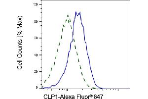 Validation of CLP1 knockdown using flow cytometry. (Rekombinanter CLP1 Antikörper)