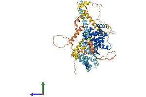 Protein Structure (PS) image for NIMA (Never In Mitosis Gene A)-Related Kinase 11 (NEK11) (AA 1-645) protein (His tag) (ABIN7549694)