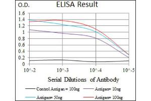 Red: Control Antigen (100ng) ; Purple: Antigen (10ng) ; Green: Antigen (50ng) ; Blue: Antigen (100ng). (Intestinal Alkaline Phosphatase Antikörper  (AA 397-458))