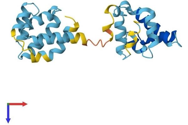 CRADD Protein (AA 1-199) (His tag)