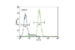 HMGCS2 Antibody (C-term) (ABIN390764 and ABIN2841022) flow cytometric analysis of HepG2 cells (right histogram) compared to a negative control cell (left histogram).