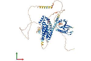 AlphaFold protein structure predicition of Human Recombinant ARHGEF4 Protein, UniprotID Q9NR80