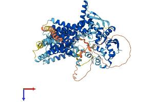 DPY19L2 Protein (AA 1-773) (His tag)