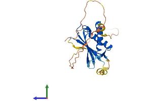 Protein Structure (PS) image for DNA-Damage-Inducible Transcript 4 (DDIT4) (AA 1-232) protein (His tag) (ABIN7553660)