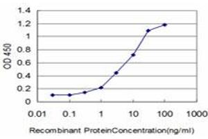 Detection limit for recombinant GST tagged FLT4 is approximately 0. (FLT4 Antikörper  (AA 34-133))