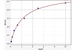 Typical standard curve