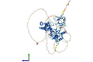 Protein Structure (PS) image for Checkpoint with Forkhead and Ring Finger Domains (CHFR) (AA 1-664) protein (His tag) (ABIN7553319)
