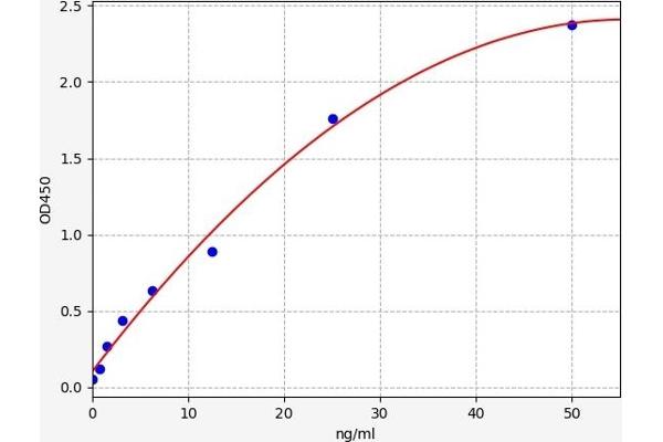 DSPP ELISA Kit