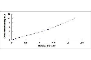 Typical standard curve (SNAIL ELISA Kit)