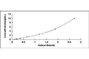 Typical standard curve (JUP ELISA Kit)