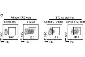 IL-33/ST2 upregulates COX2 expression through NF-κB signaling.