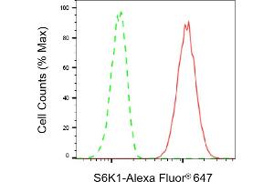 Flow cytometric analysis of S6K1 expression in C2C12 cells using S6K1 antibody (ABIN7800225), 1:2,000).