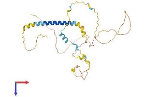 PMEPA1 Protein (AA 1-287) (His tag)
