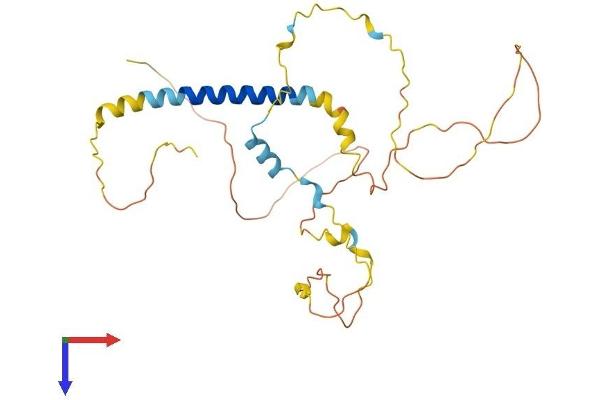 PMEPA1 Protein (AA 1-287) (His tag)