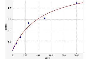 FGF19 ELISA Kit