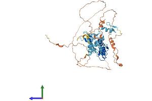 AlphaFold protein structure predicition of Human Recombinant ZNF500 Protein, UniprotID O60304