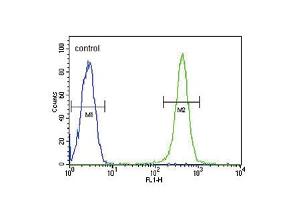 Flow cytometric analysis of Ramos cells (right histogram) compared to a negative control cell (left histogram). (GPI Antikörper  (C-Term))