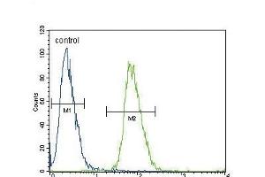 ADH4 Antibody (C-term) (ABIN654087 and ABIN2843975) flow cytometric analysis of 293 cells (right histogram) compared to a negative control cell (left histogram). (ADH4 Antikörper  (C-Term))