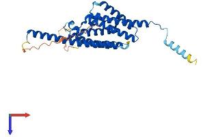 TSNAX Protein (AA 1-290) (His tag)