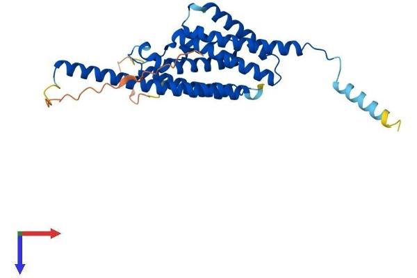 TSNAX Protein (AA 1-290) (His tag)