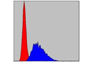 Flow cytometric analysis of NIH/3T3 cells using CASP8 monoclonal antibody, clone 1H11  (blue) and negative control (red). (Caspase 8 Antikörper)