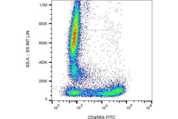 CD45RA Antikörper  (FITC)