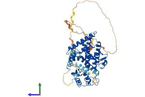 Protein Structure (PS) image for Nuclear Receptor Subfamily 5, Group A, Member 1 (NR5A1) (AA 1-461) protein (His tag) (ABIN7555648)