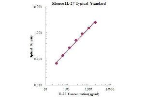 ELISA image for Interleukin 27 (IL27) ELISA Kit (ABIN2681249)