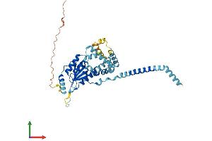 AlphaFold protein structure predicition of Human Recombinant TRABD Protein, UniprotID Q9H4I3 (TRABD Protein (AA 1-376) (His tag))