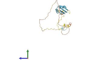 Protein Structure (PS) image for Splicing Factor, Arginine/Serine Rich 7 (SFRS7) (AA 1-238) protein (His tag) (ABIN7546317)