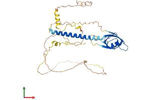 Protein Structure (PS) image for Cytohesin 1 Interacting Protein (CYTIP) (AA 1-359) protein (His tag) (ABIN7546946)