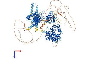 AGAP1 Protein (AA 1-857) (His tag)