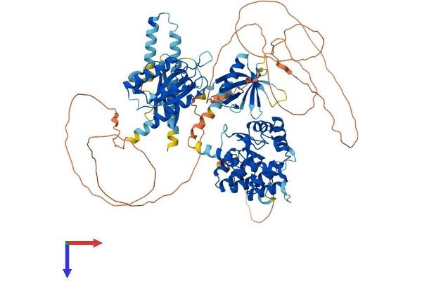 AGAP1 Protein (AA 1-857) (His tag)